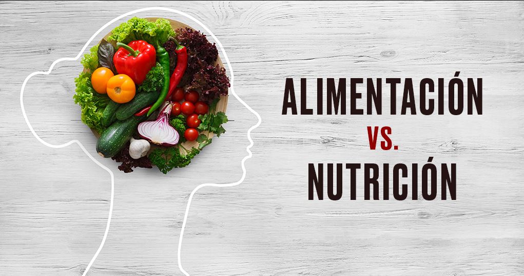 Te contamos como funciona en conjunto la alimentación y la nutrición